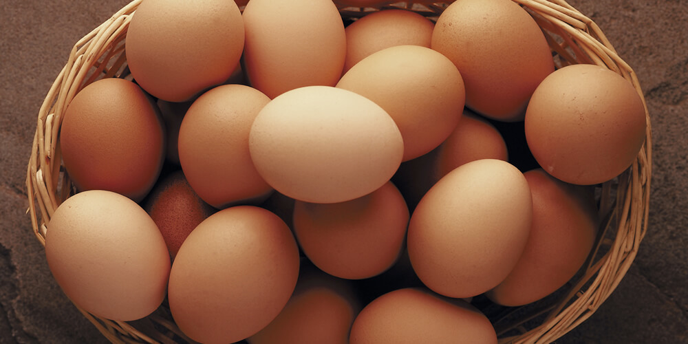 Brown Egg