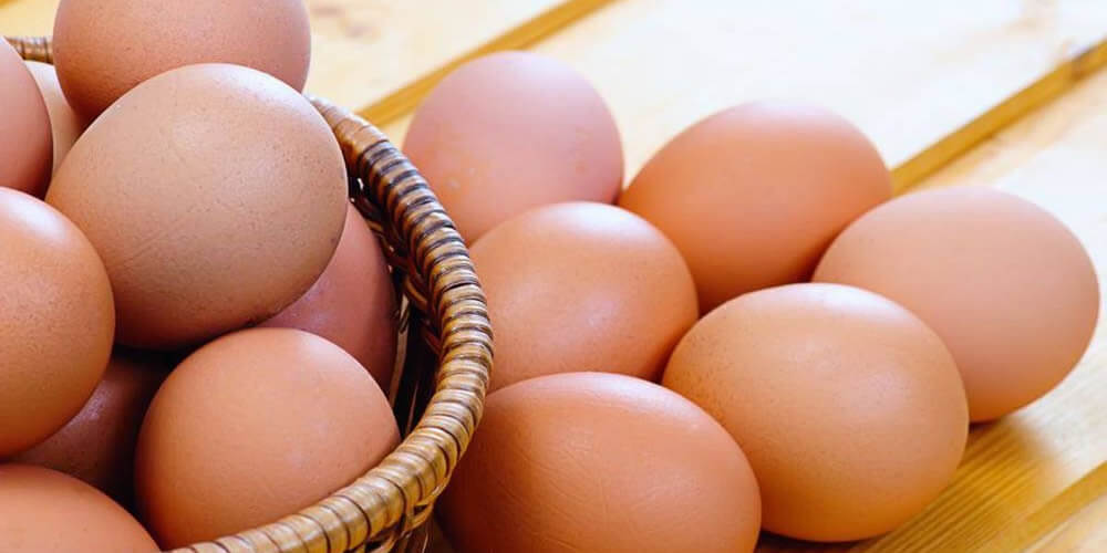 Omega Egg
